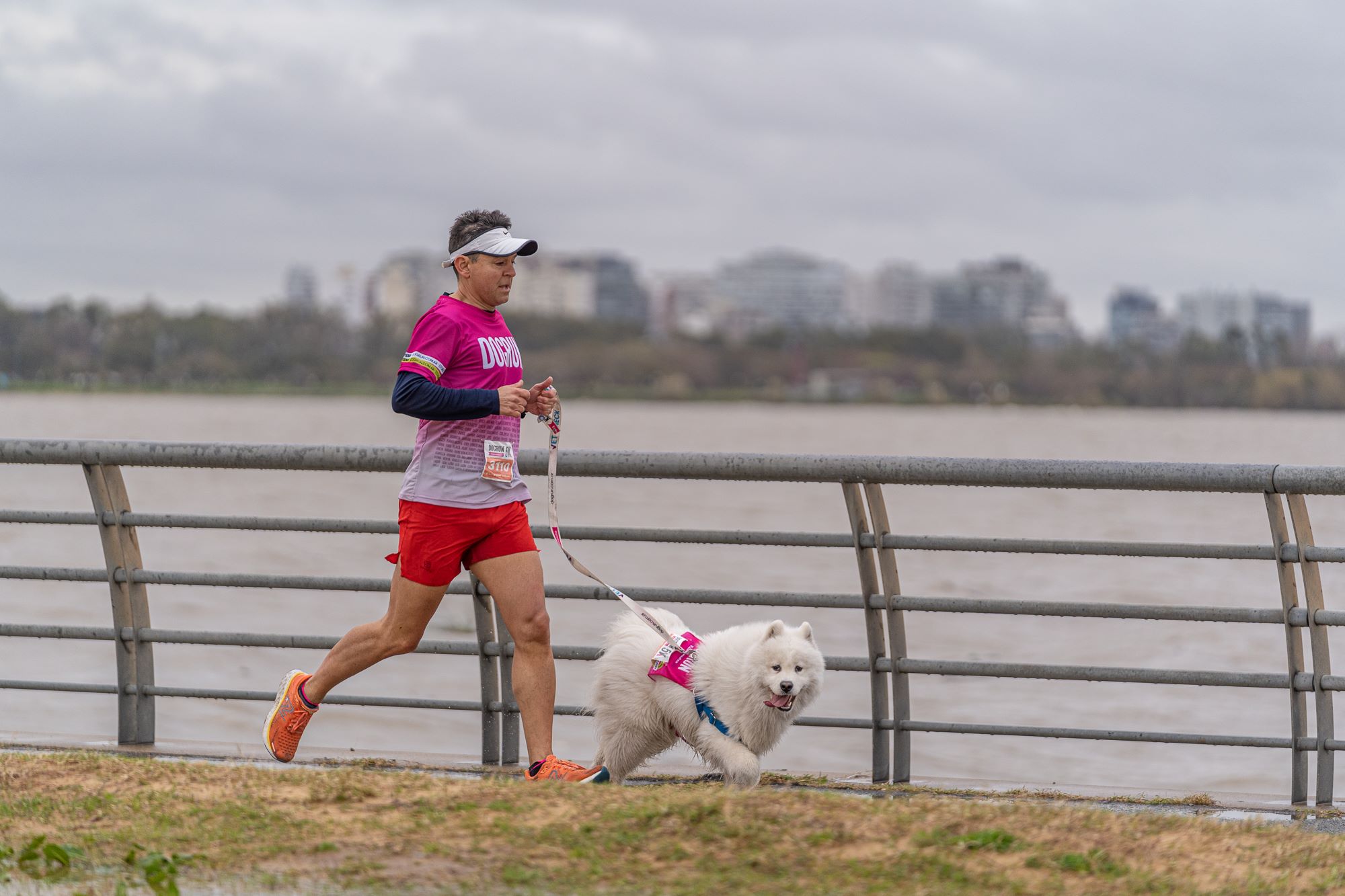 DOGRUN Eukanuba Biogenesis Bagó 2024 Celebrate the bond with your dog through sport – Marcela Fittipaldi Magazine